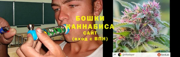 спайс Алексин