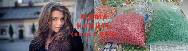 прущие грибы Алексеевка