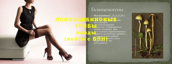 прущие грибы Алексеевка