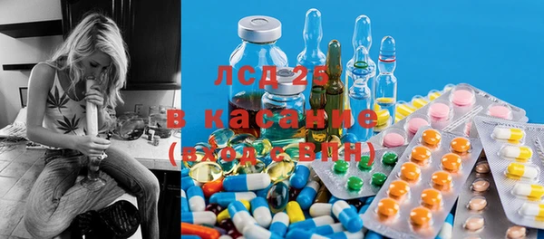 прущие грибы Алексеевка