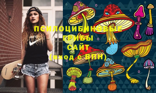 бошки Алзамай
