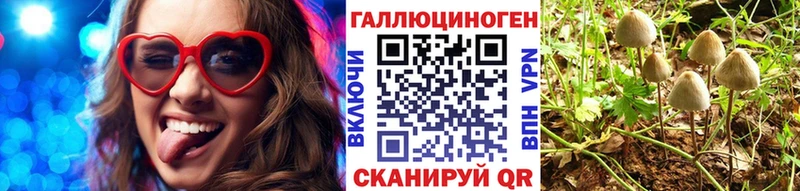 Псилоцибиновые грибы мицелий  сайты даркнета формула  Киреевск 